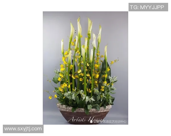 贝弗伦主场迎战标准列日期待精彩对决与激烈竞争 贝弗伦主场迎战标准列日期待精彩对决与激烈竞争