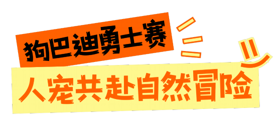 深圳这些赛事超萌超燃超多名场面皇冠体育app(图5)
