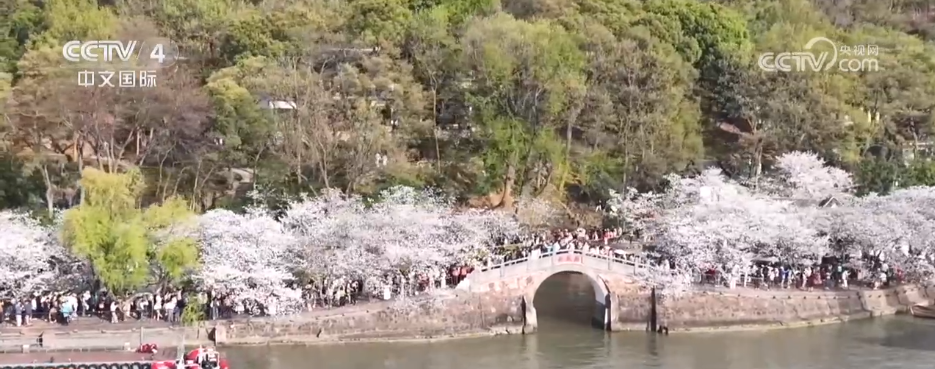 皇冠体育官网赛事聚“流量”经济添“增量” 以“赛”为媒激发多元消费新活力(图1)